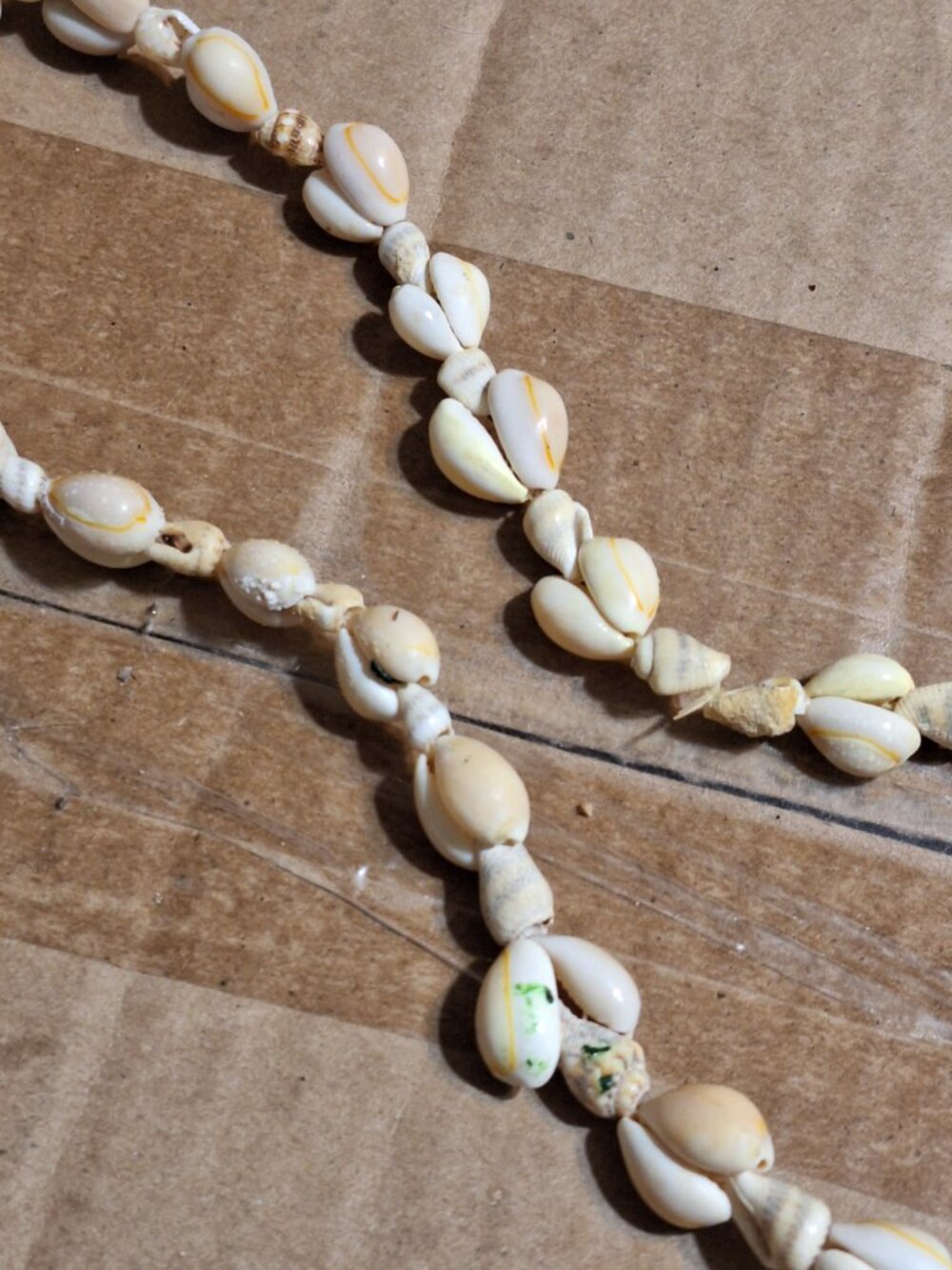 shell necklace - Picture 7 of 12